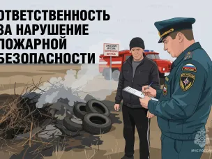 Сжигание сухой травы и мусора: ответственность и последствия